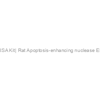 Aen  ELISA Kit| Rat Apoptosis-enhancing nuclease ELISA Kit